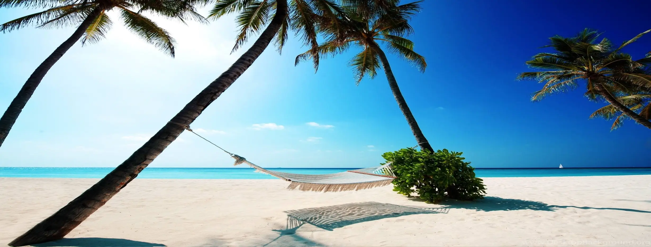 Image for White Sand Wonders